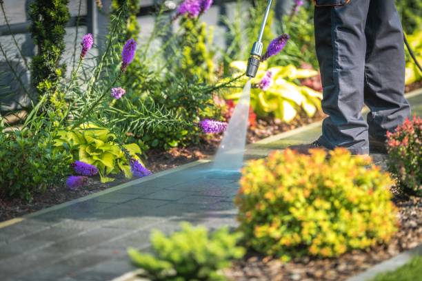 Winterizing Services in Fox Lake, WI
