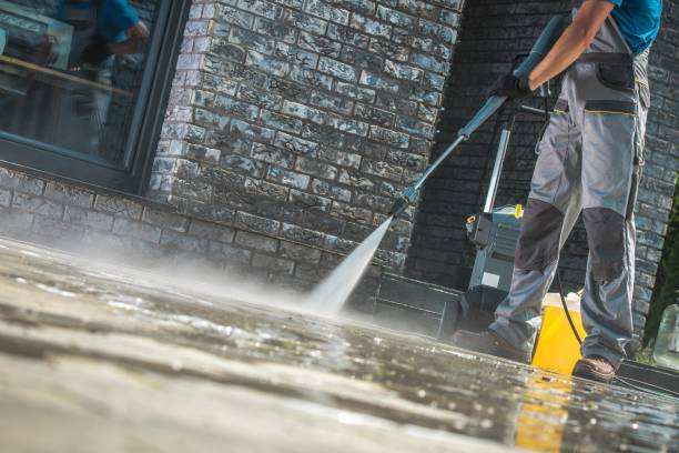Best Animal Enclosure Cleaning  in Fox Lake, WI