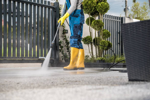 Best Dumpster Area Cleaning  in Fox Lake, WI