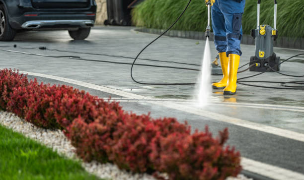 Spring Cleaning in Fox Lake, WI